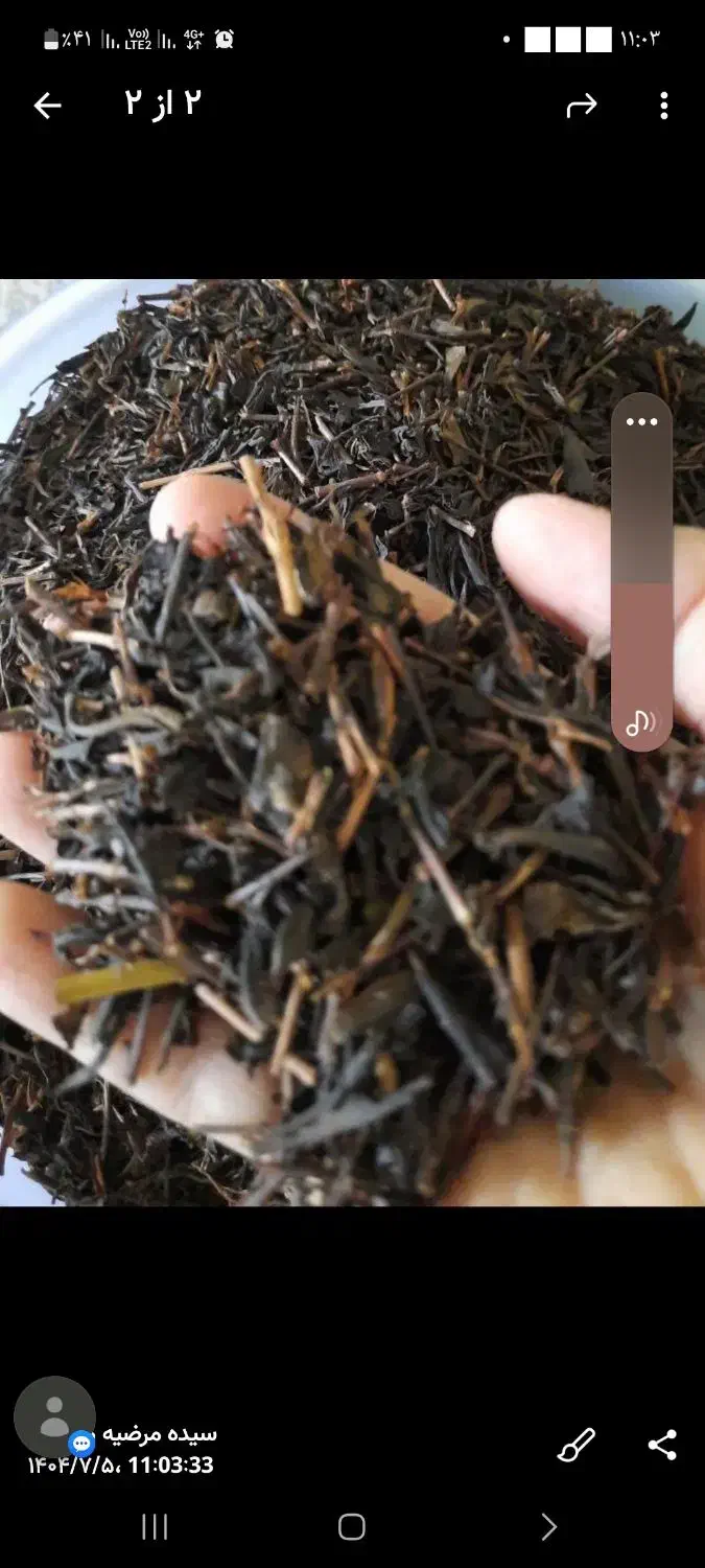 چای چوب  خوش عطر و طعم|خوردنی و آشامیدنی|قم, انسجام|دیوار