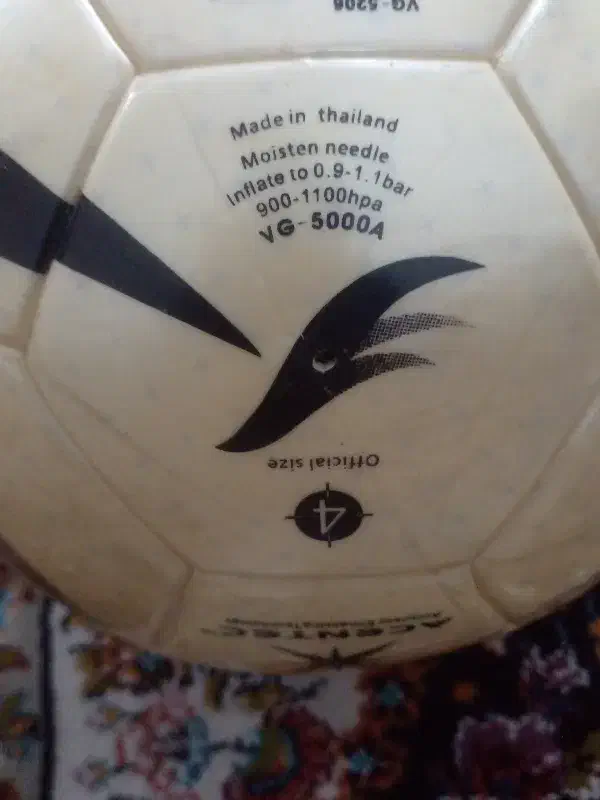 توپ سالنی ماین اکا|ورزش‌های توپی|تاکستان, |دیوار