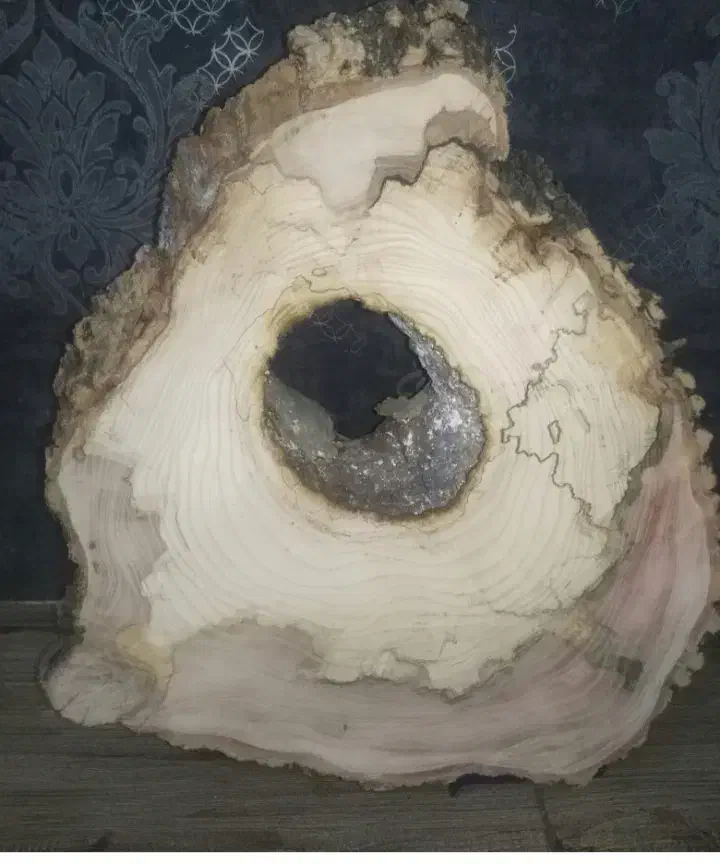 انواع کالباسی وچوب وجوش برای کارهای هنری ورزین|صنایع دستی و سایر لوازم تزئینی|کرمان, |دیوار