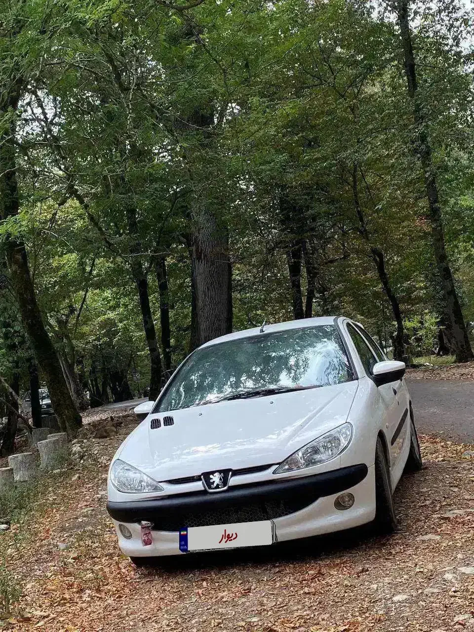 206|خودرو سواری و وانت|مشهد, زیبا شهر|دیوار