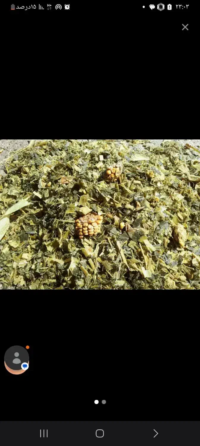 کاه گندم و سیلو|عمدهفروشی|رامسر, |دیوار