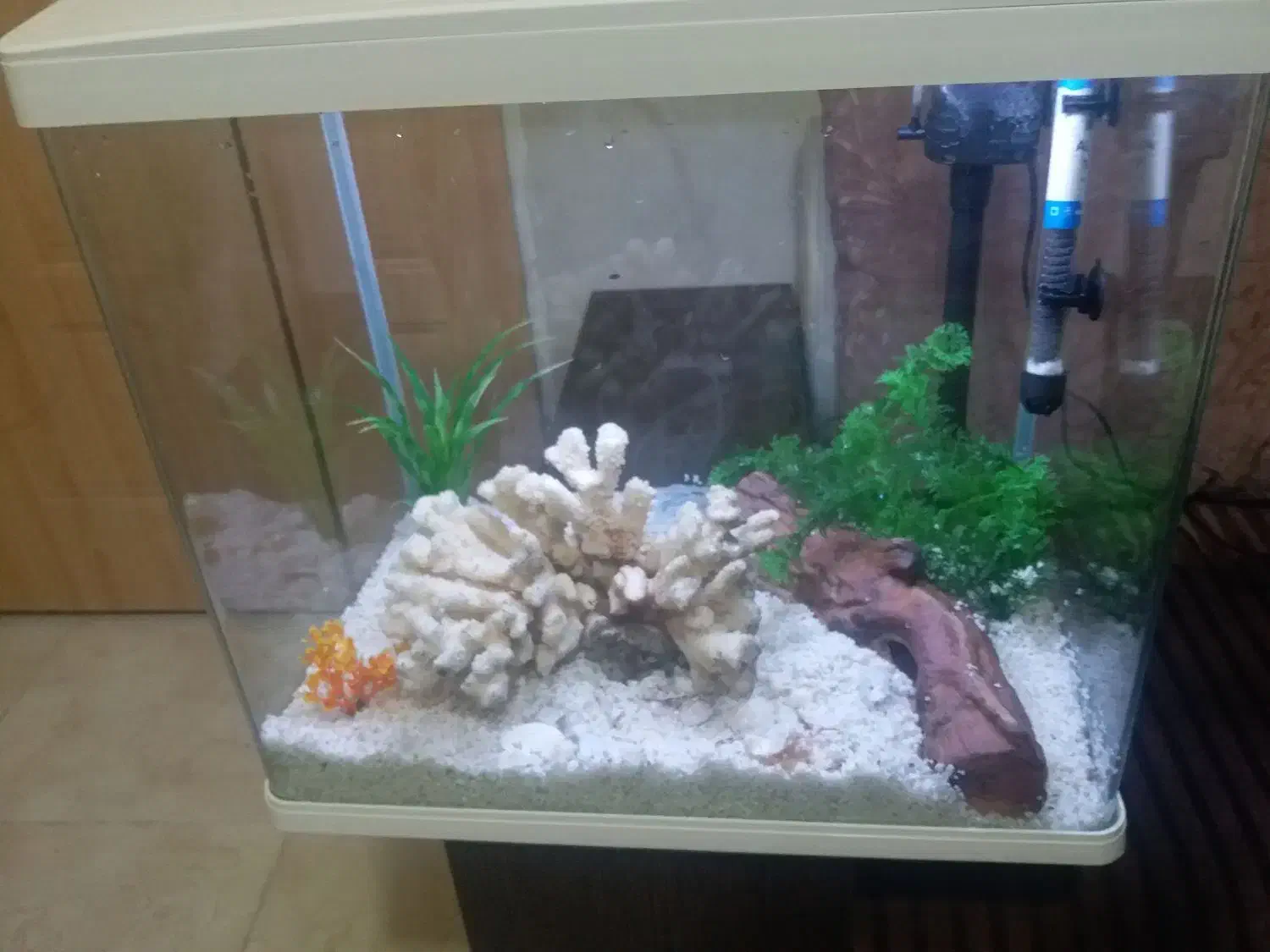 آکواریوم با تمامی وسایل|ماهی|ایلام, |دیوار