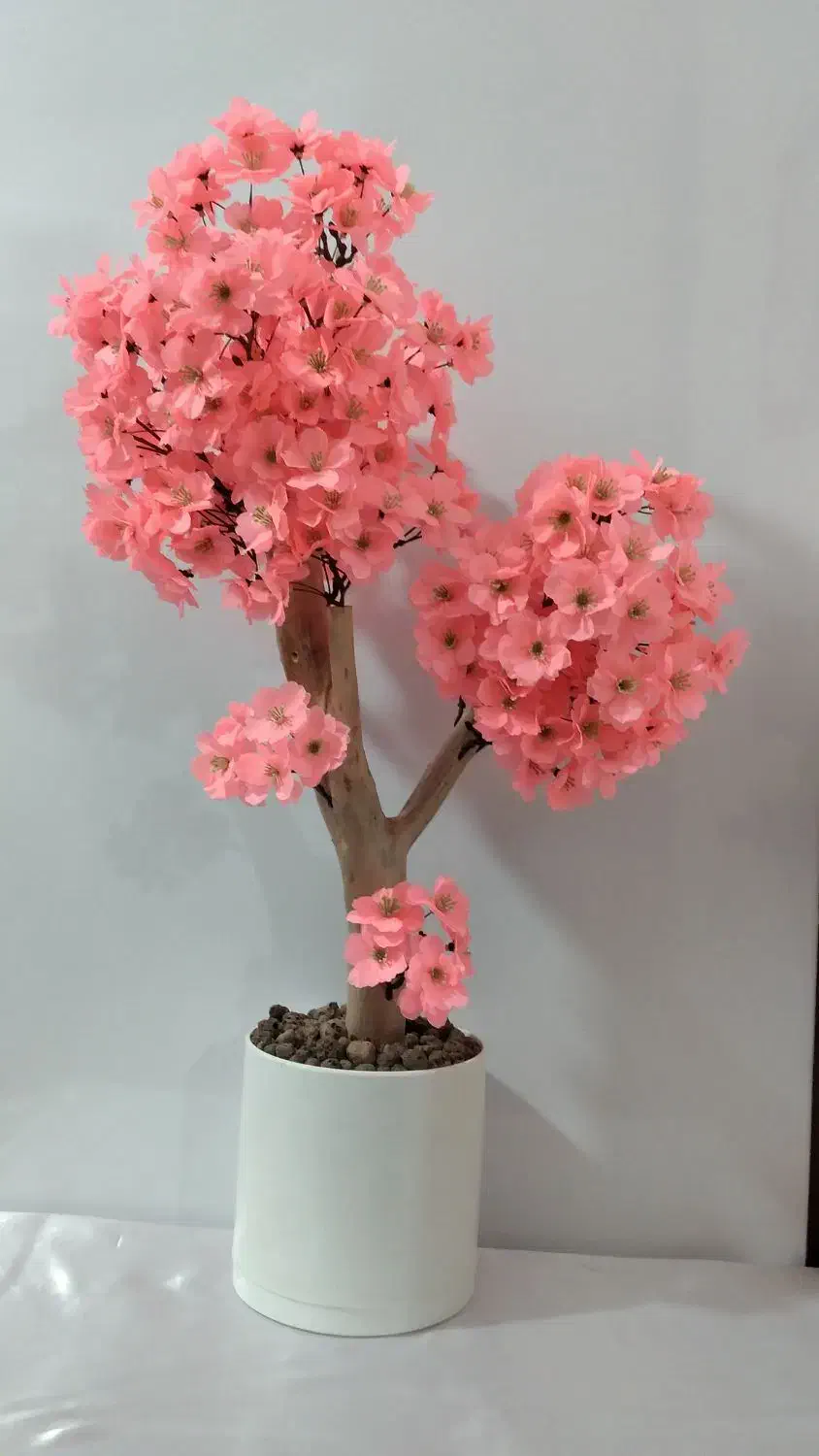 درختچه مصنوعی شکوفه با تنه طبیعی|گل مصنوعی|رامشیر, |دیوار