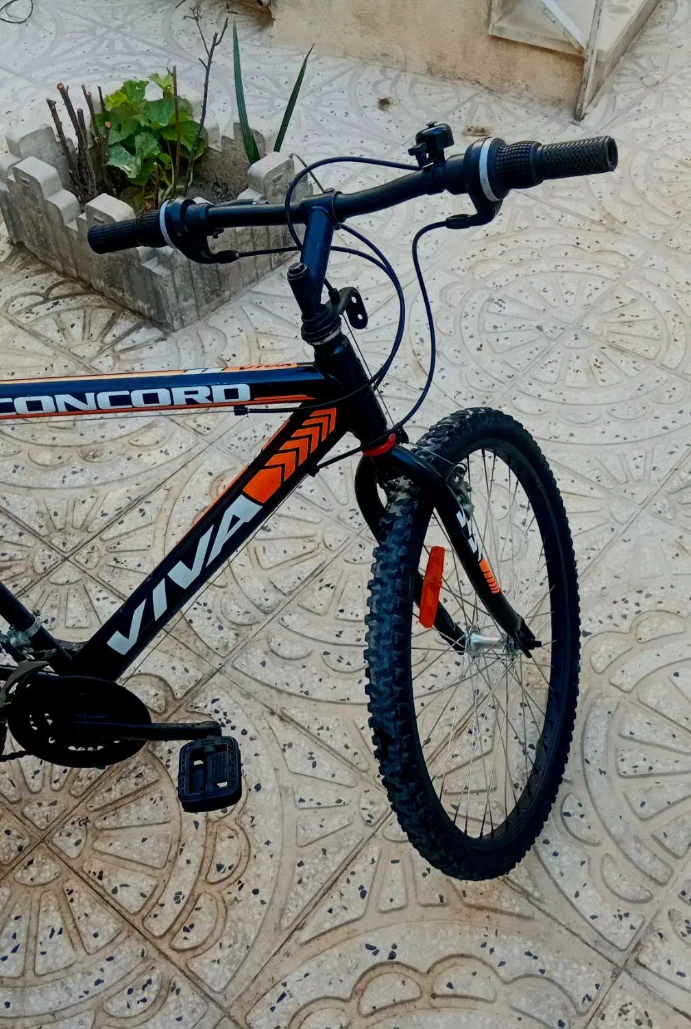 دوچرخه سایز ۲۶|دوچرخه، اسکیت، اسکوتر|سرخه, |دیوار