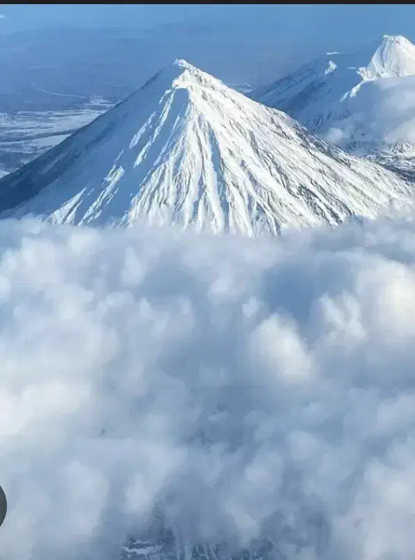 همنورد|فعالیت داوطلبانه|کرج, عظیمیه|دیوار