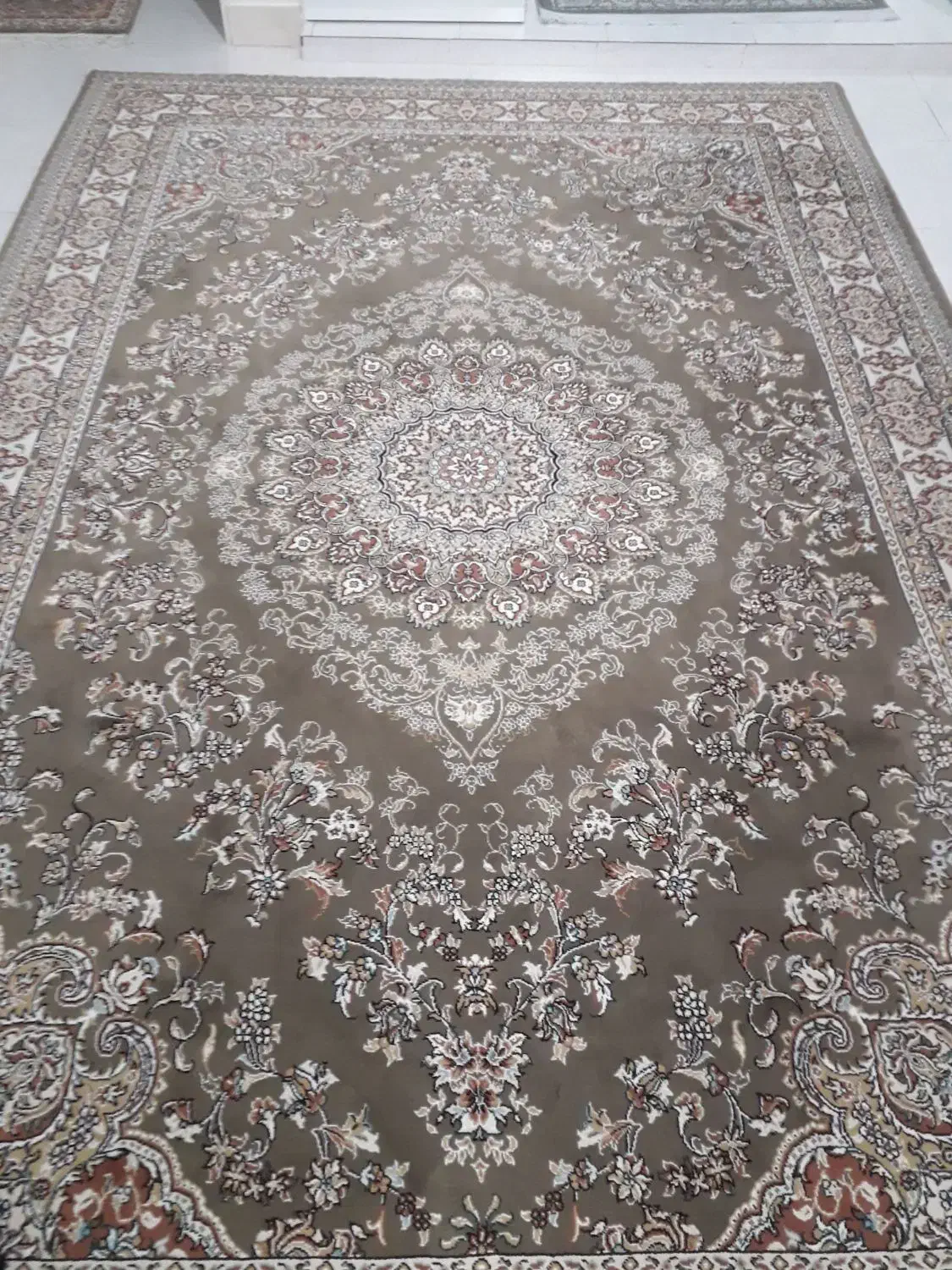 فرش ۶ متری و قالی ۴ متری|فرش|تهران, زرکش|دیوار