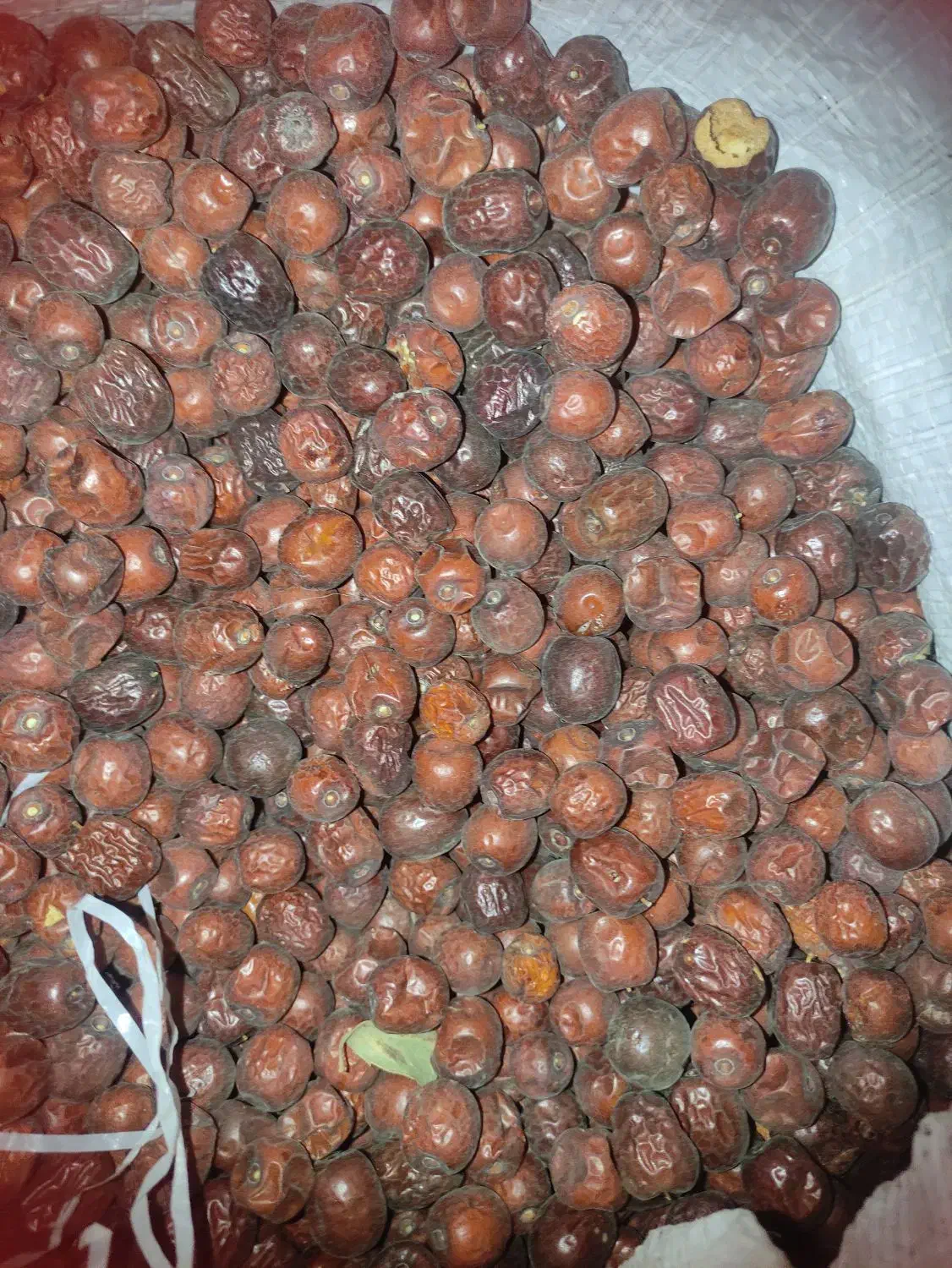 اناب امسالی|خوردنی و آشامیدنی|درمیان, |دیوار