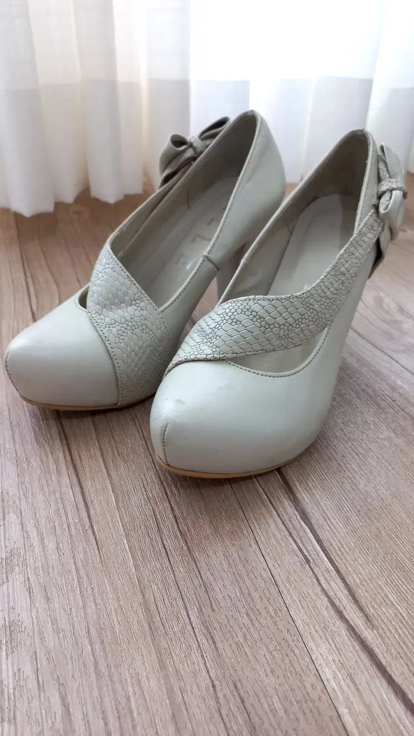 کفش مجلسی|کیف، کفش، کمربند|رشت, گلباغ نماز|دیوار