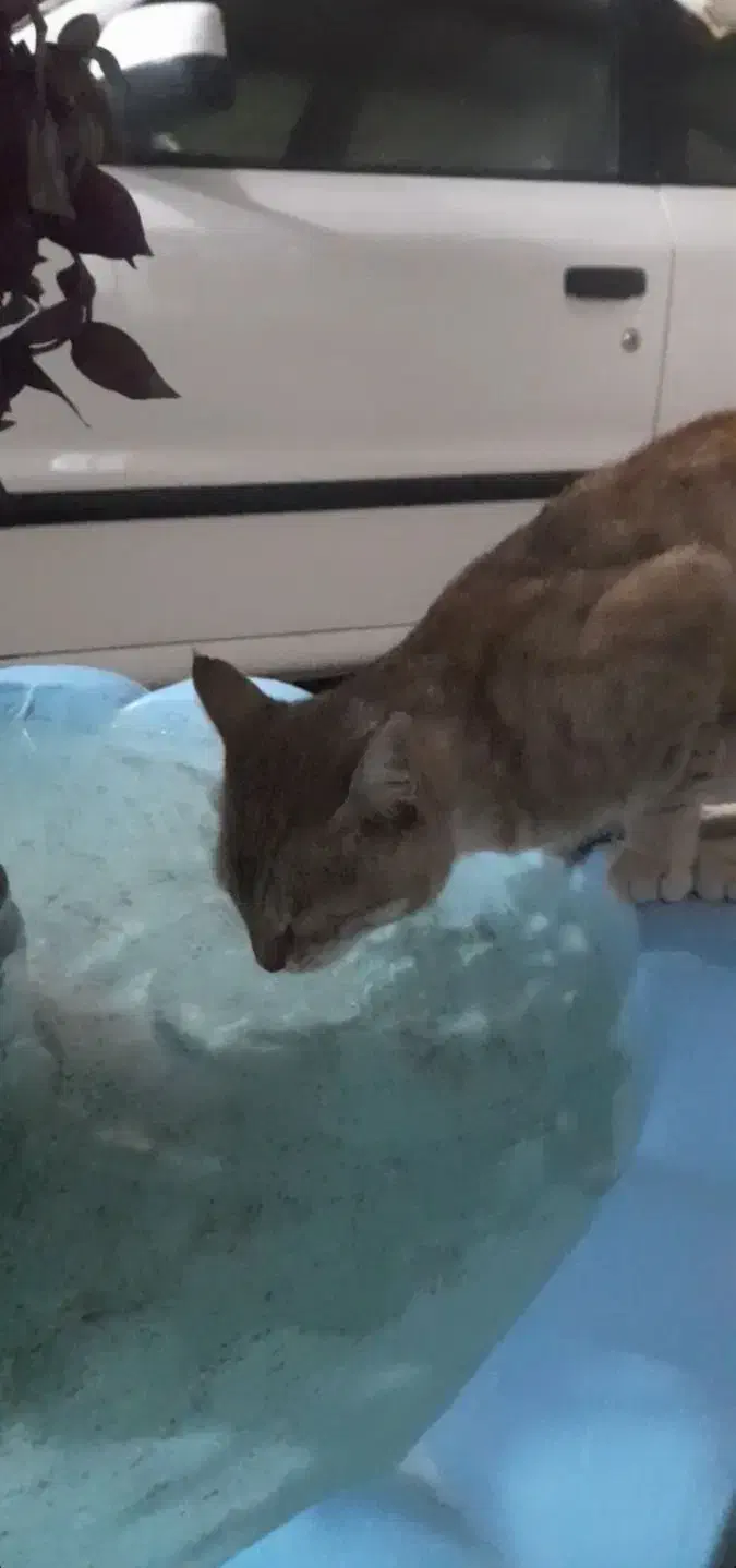 فروش حوض آب نما|مصالح و تجهیزات ساختمان|ابهر, |دیوار