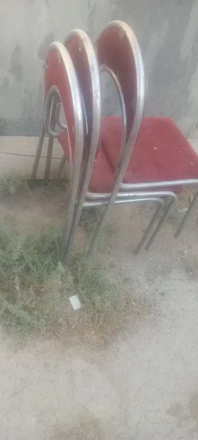 صندلی درحد نو|صندلی و نیمکت|شیراز, گچی|دیوار