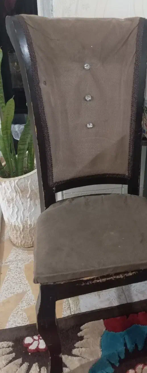 صندلی|صندلی و نیمکت|یزد, |دیوار