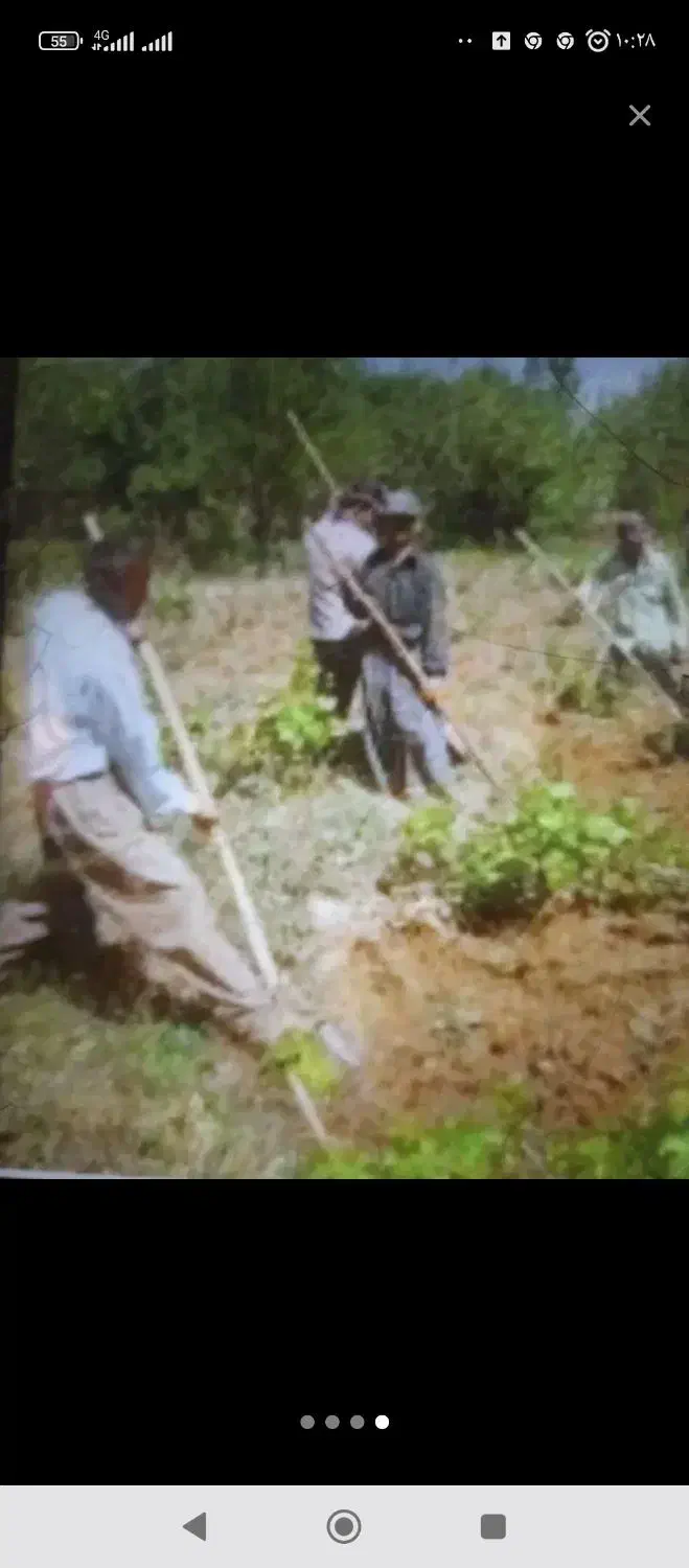 کارگر بیل زنی باغبانی  نظافت باغ درختکاری|خدمات باغبانی و درختکاری|ارومیه, |دیوار