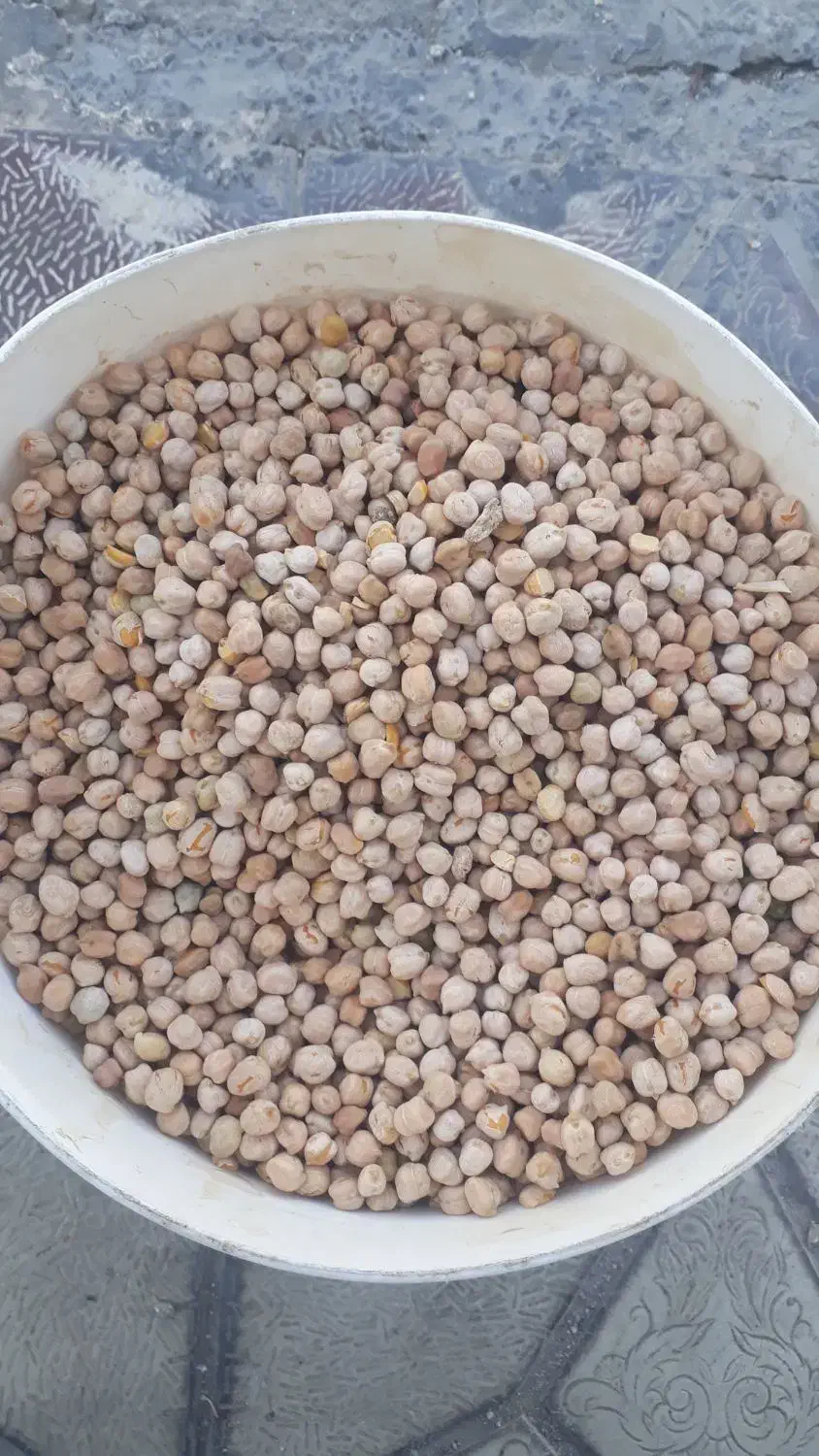 نخود لوبیا قرمز عدس کانادایی|خوردنی و آشامیدنی|ازنا, |دیوار