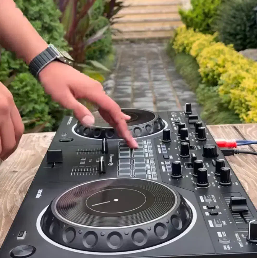 دیجی دی جیDjحرفه ای مجالس     تخفیف ویژه|خدمات پذیرایی، مراسم|شیراز, زند|دیوار