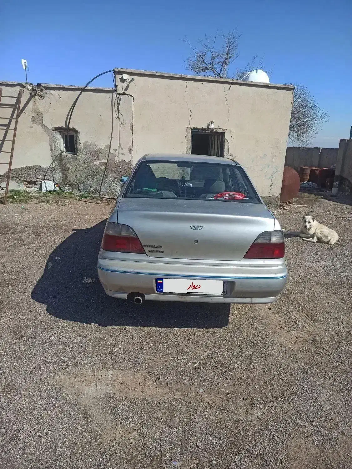 دوو سیلو۸۱|خودرو سواری و وانت|قزوین, |دیوار