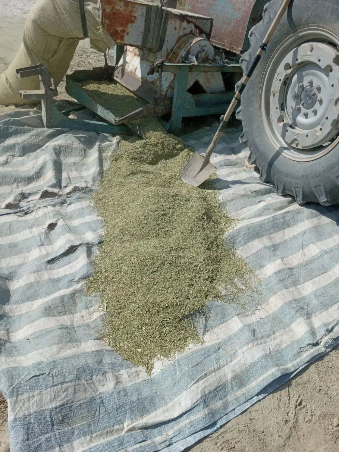 خارشتوری|لوازم جانبی حیوانات|مرزداران, |دیوار