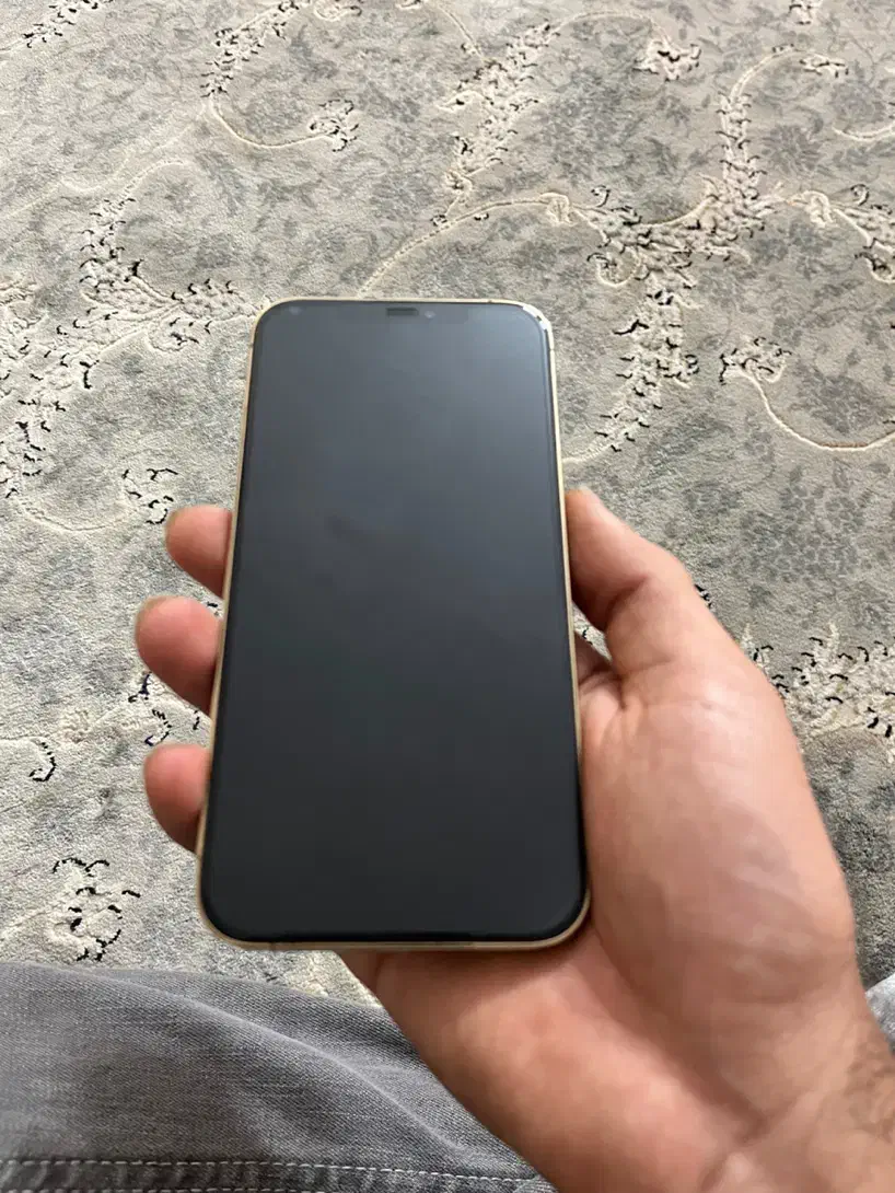 iPhone 12 Pro Max 256 Zaa|موبایل|ری, فیروزآبادی|دیوار