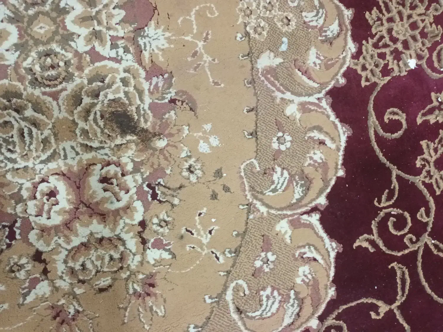 ۲ عددفرش|فرش|چابهار, |دیوار