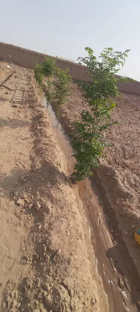 خانه باغ|فروش دفتر صنعتی، کشاورزی، تجاری|کاشان, شهرک صنعتی راوند|دیوار