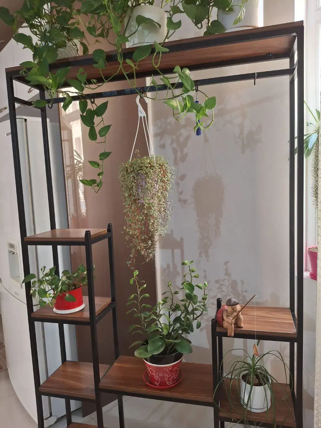 استند گلدان|گل و گیاه طبیعی|تهران, امیریه|دیوار