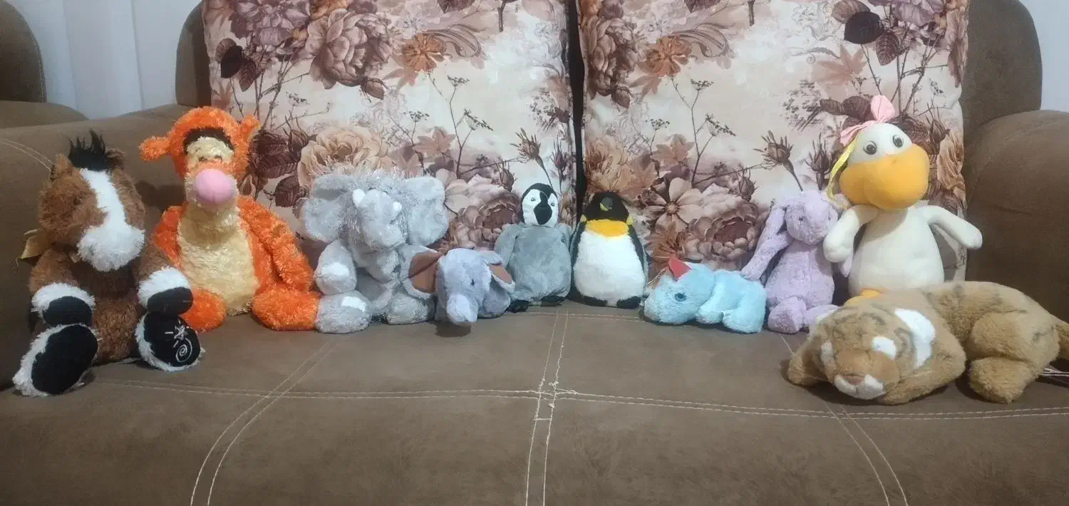 عروسک|اسباب‌‌بازی|بندرعباس, |دیوار