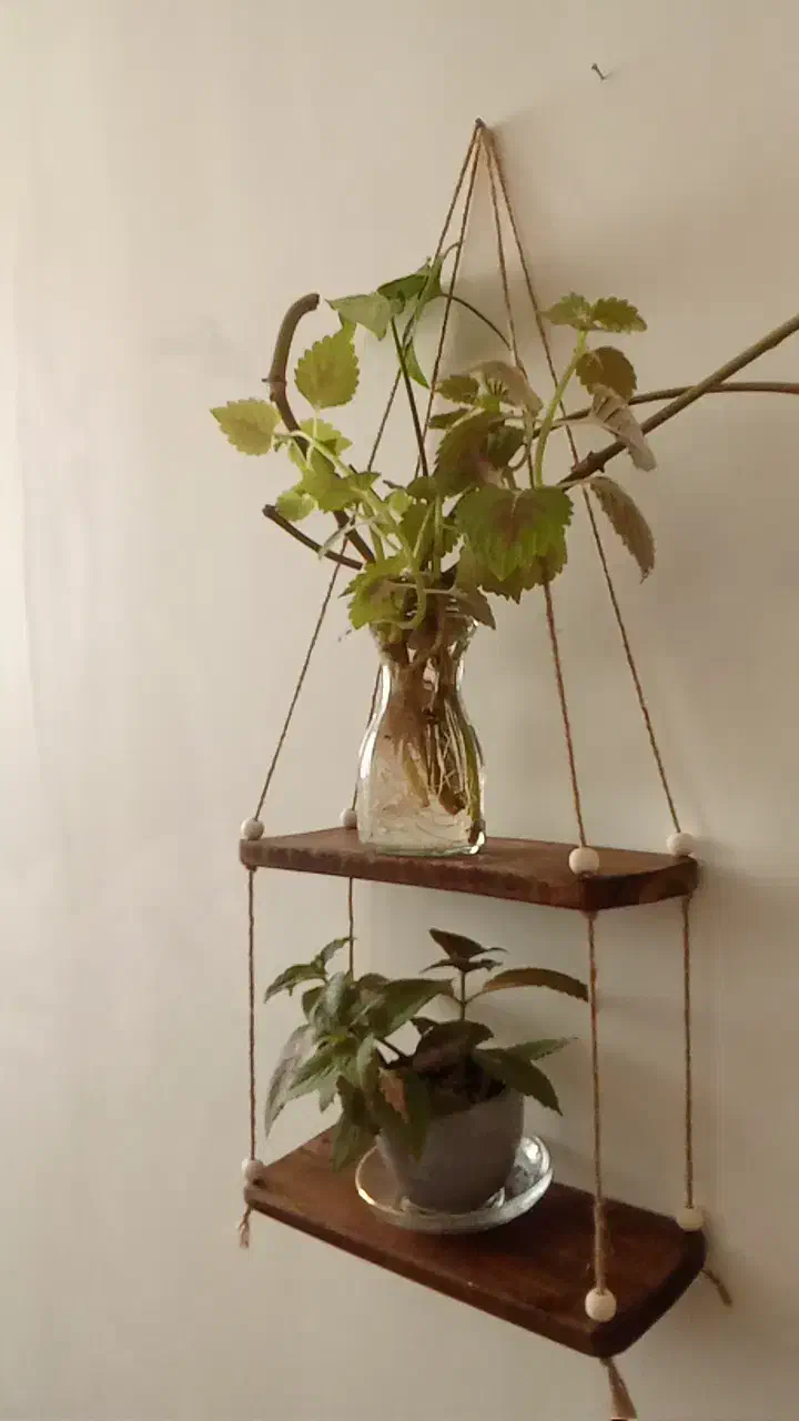 شلف دیواری|کتابخانه، شلف، قفسه‌های دیواری|بجنورد, |دیوار