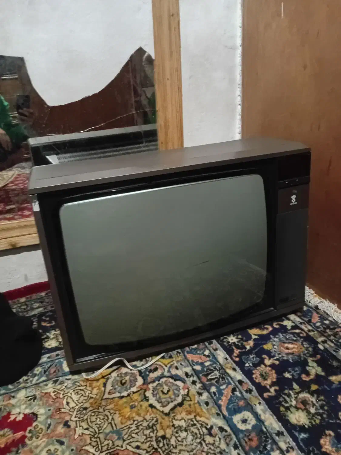 پارس گروندیک|تلویزیون و پروژکتور|تنکابن, |دیوار