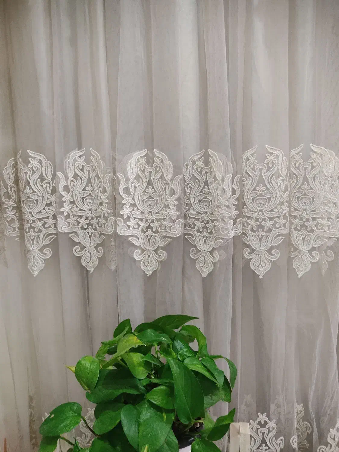 پرده|پرده، رانر، رومیزی|اهواز, کوی باهنر|دیوار