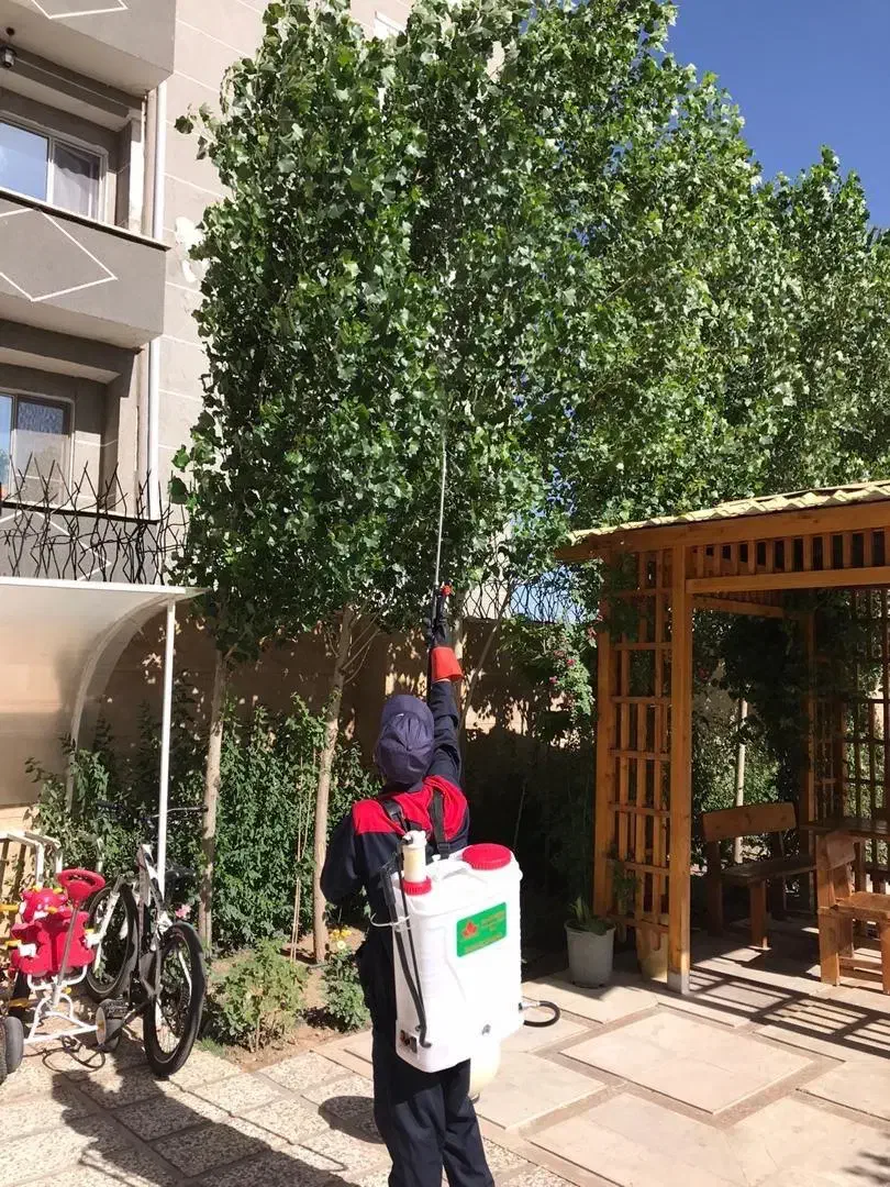 خدمات سمپاشی|خدمات نظافت|پیشوا, |دیوار