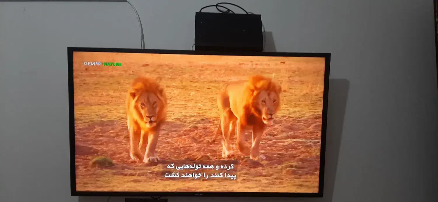 فروش تلویزیون سامسونگ ۴۳اینچ سامسونگ و گیرنده|تلویزیون و پروژکتور|جم, |دیوار