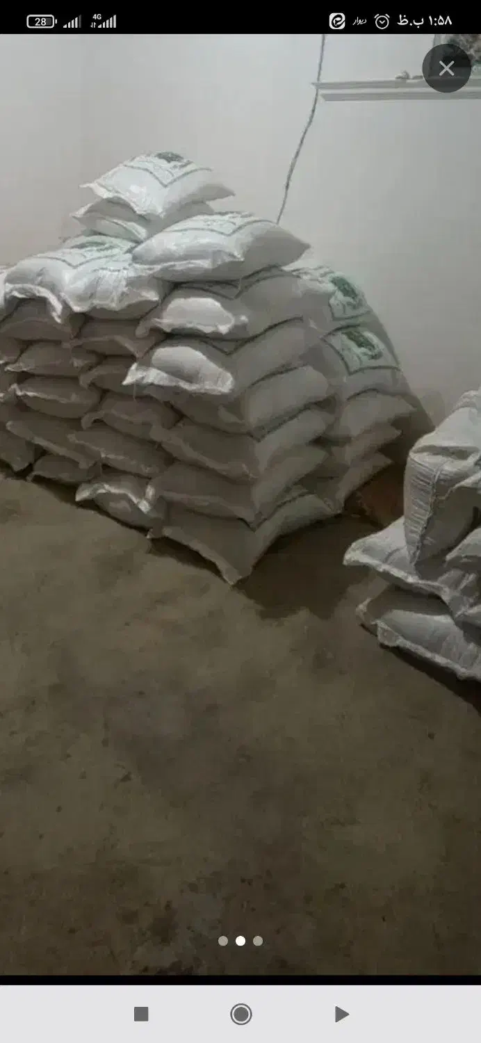 برنج چمپا|خوردنی و آشامیدنی|لردگان, |دیوار