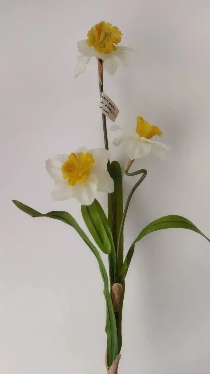ده تا شاخه گل نرگس|گل مصنوعی|قم, هفت تیر|دیوار