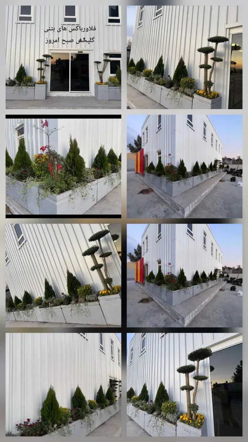 فلاورباکس بتنی و فایبرگلاس|گل و گیاه طبیعی|تهران, استقلال|دیوار