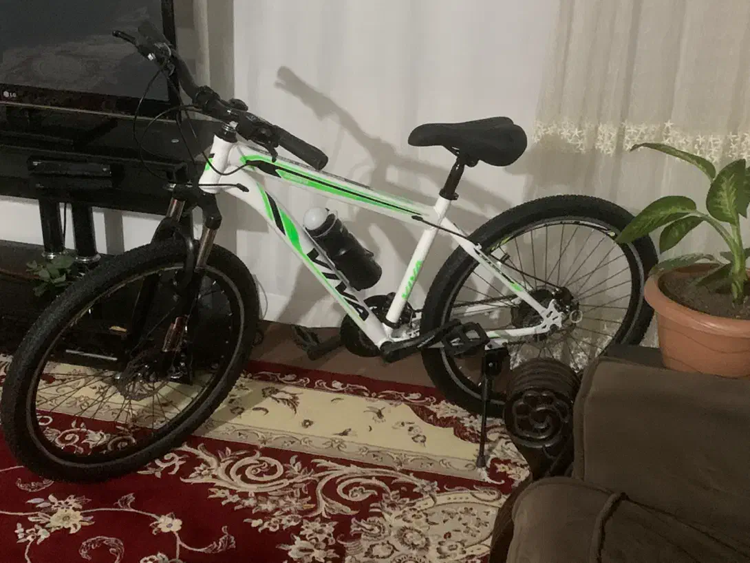 دوچرخه viva سایز 26|دوچرخه، اسکیت، اسکوتر|چوبر, |دیوار