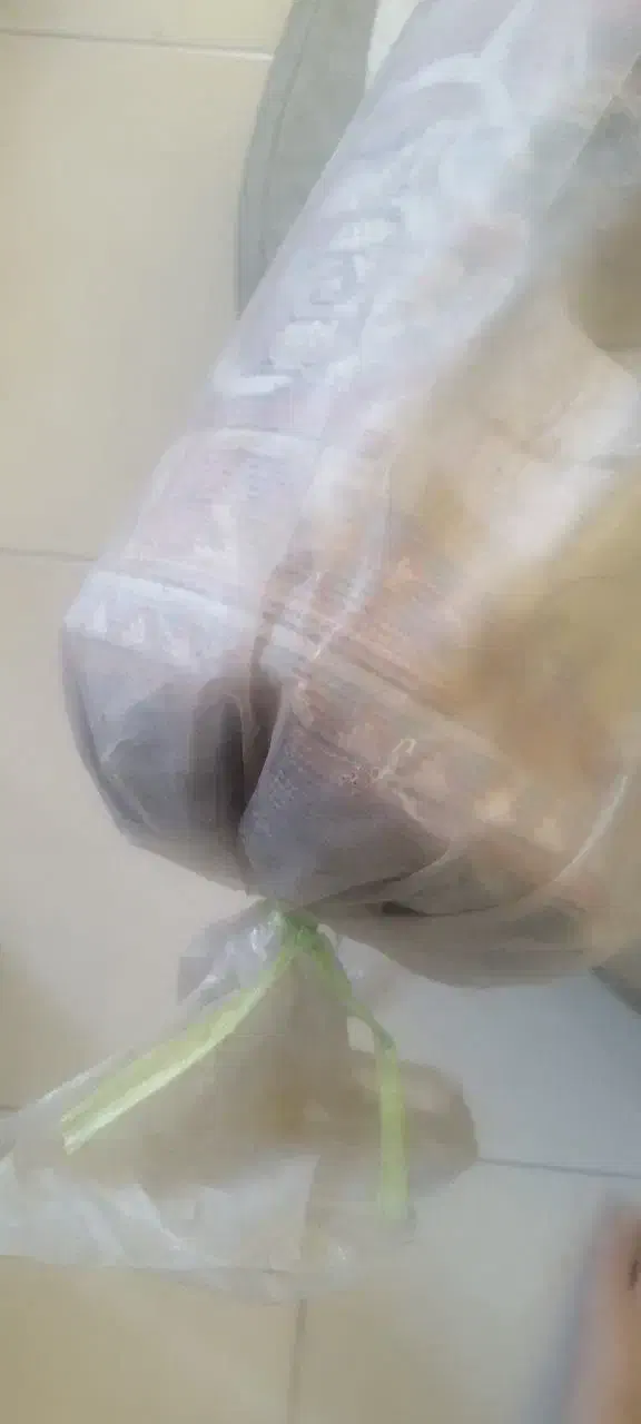 2عدد گلیم فرش ۶متری با کیفیت عالی نو|فرش|اصفهان, دشتستان|دیوار