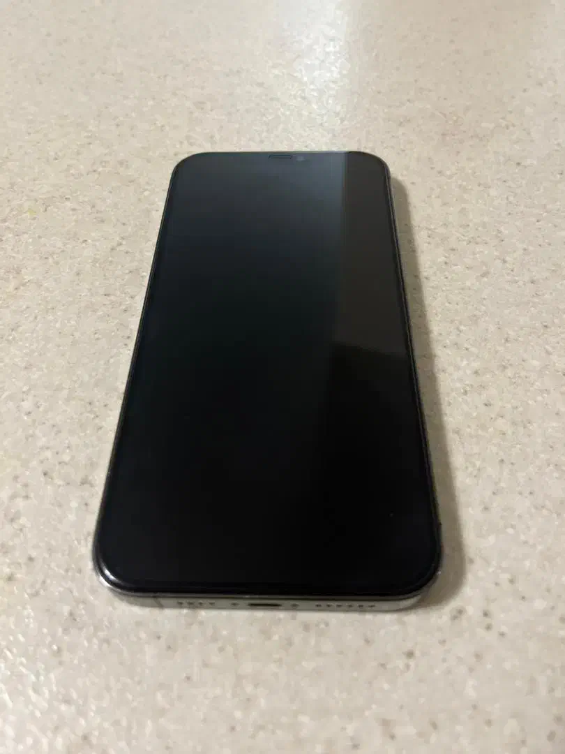 ایفون ۱۲ پرومکس ۲۵۶ گیگ|موبایل|گرمدره, |دیوار