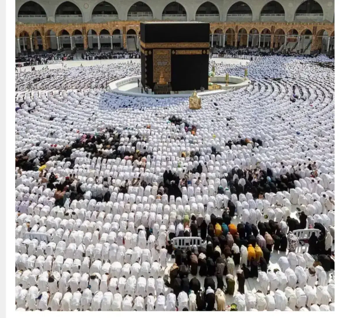 دوعدد فیش عمره|تور و چارتر|تهران, دهقان|دیوار