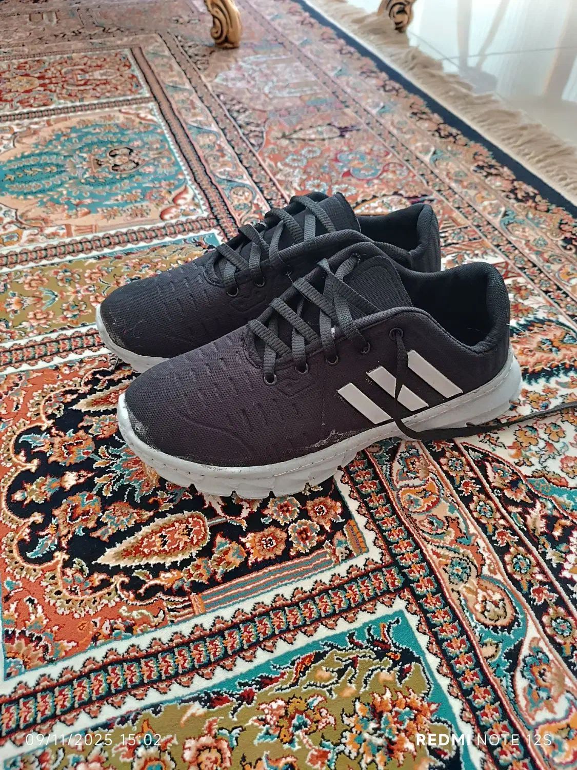 کفش|کیف، کفش، کمربند|بیرجند, |دیوار