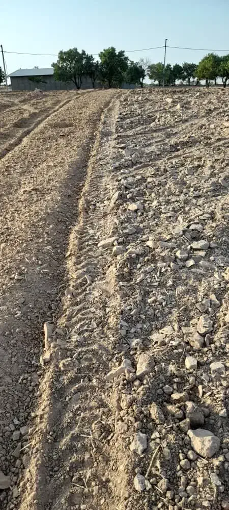 سنگ جمع کن تمام اتوماتیک|خدمات باغبانی و درختکاری|قیدار, |دیوار