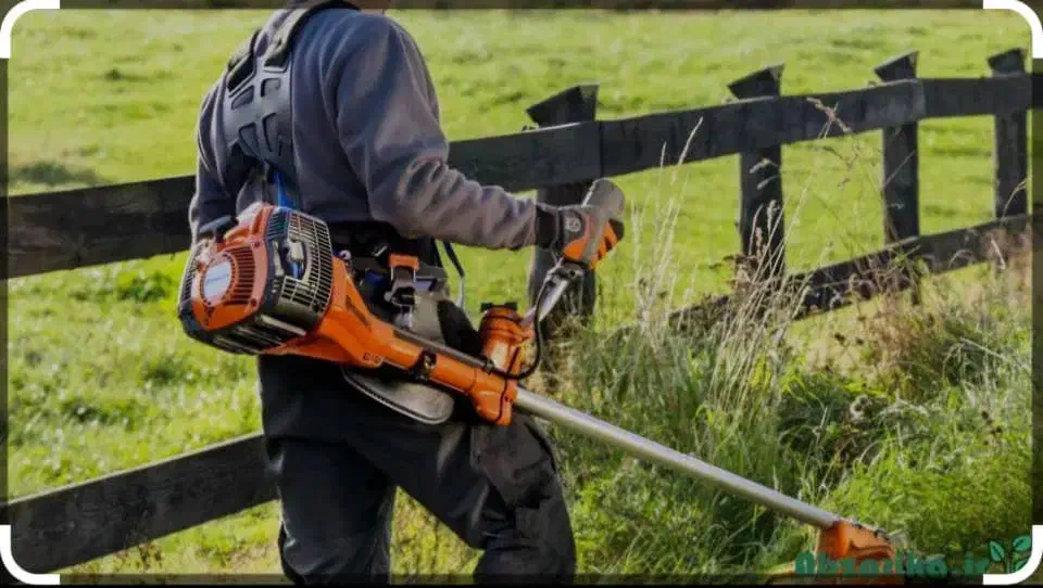 علفتراشی و هرس باغات|خدمات باغبانی و درختکاری|سیاهکل, |دیوار