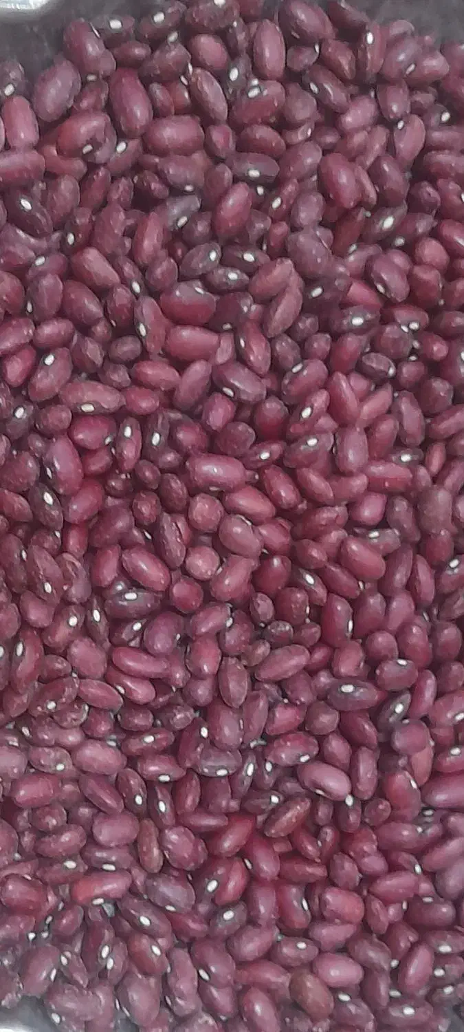 لوبیا قرمز یاقوتی با لوبیا چیتی|خوردنی و آشامیدنی|شیدا, |دیوار