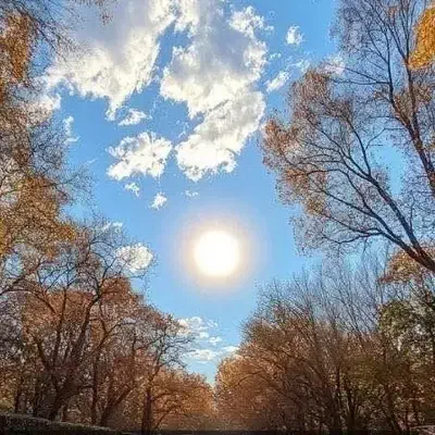 زمین کارگاهی شهرداری|فروش زمین و ملک کلنگی|مرودشت, دولت آباد|دیوار