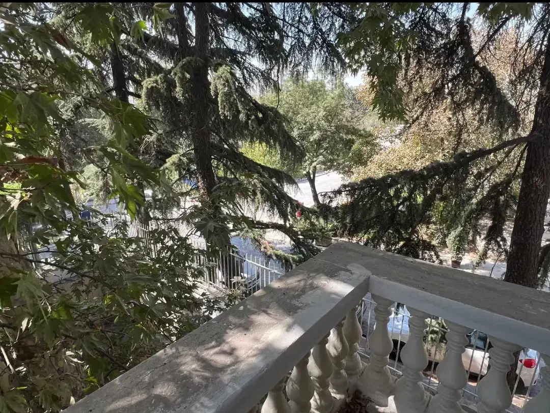 نیاوران/۶۰۰متر/ویلایی/کامرانیه شمالی/حیاط مشجر|اجارهٔ خانه و ویلا|تهران, کامرانیه|دیوار