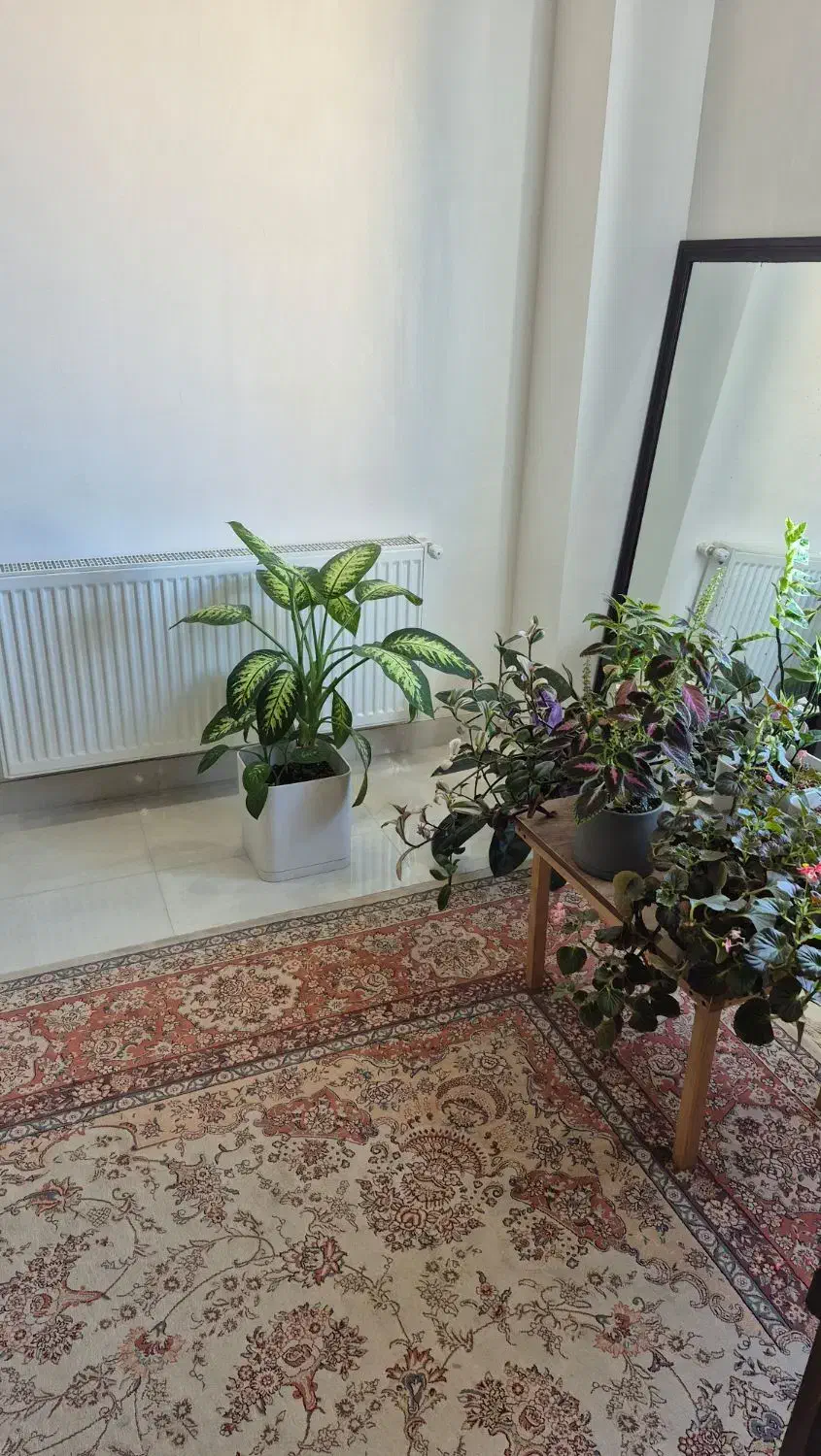 کارهای عمومی خانه|استخدام سرایداری و نظافت|رشت, باهنر|دیوار