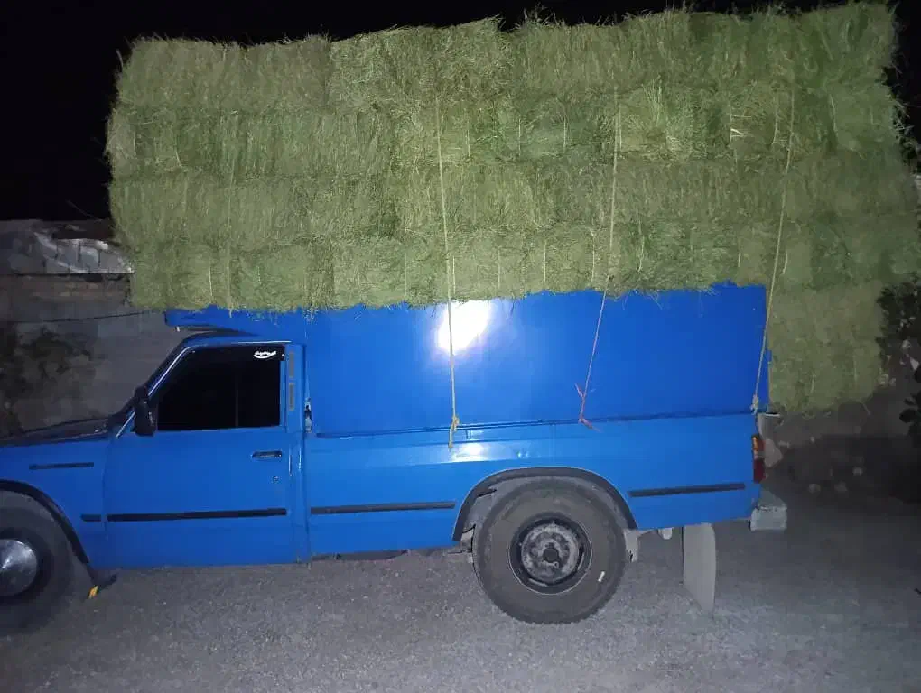 یونجه پرس قالبی خشک انباری و کوفته|لوازم جانبی حیوانات|شیراز, رحمت‌آباد|دیوار