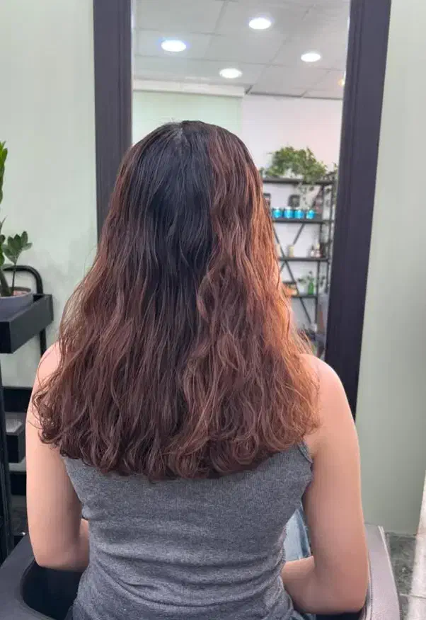 صافی و احیای مو|خدمات آرایشگری و زیبایی|سقز, |دیوار