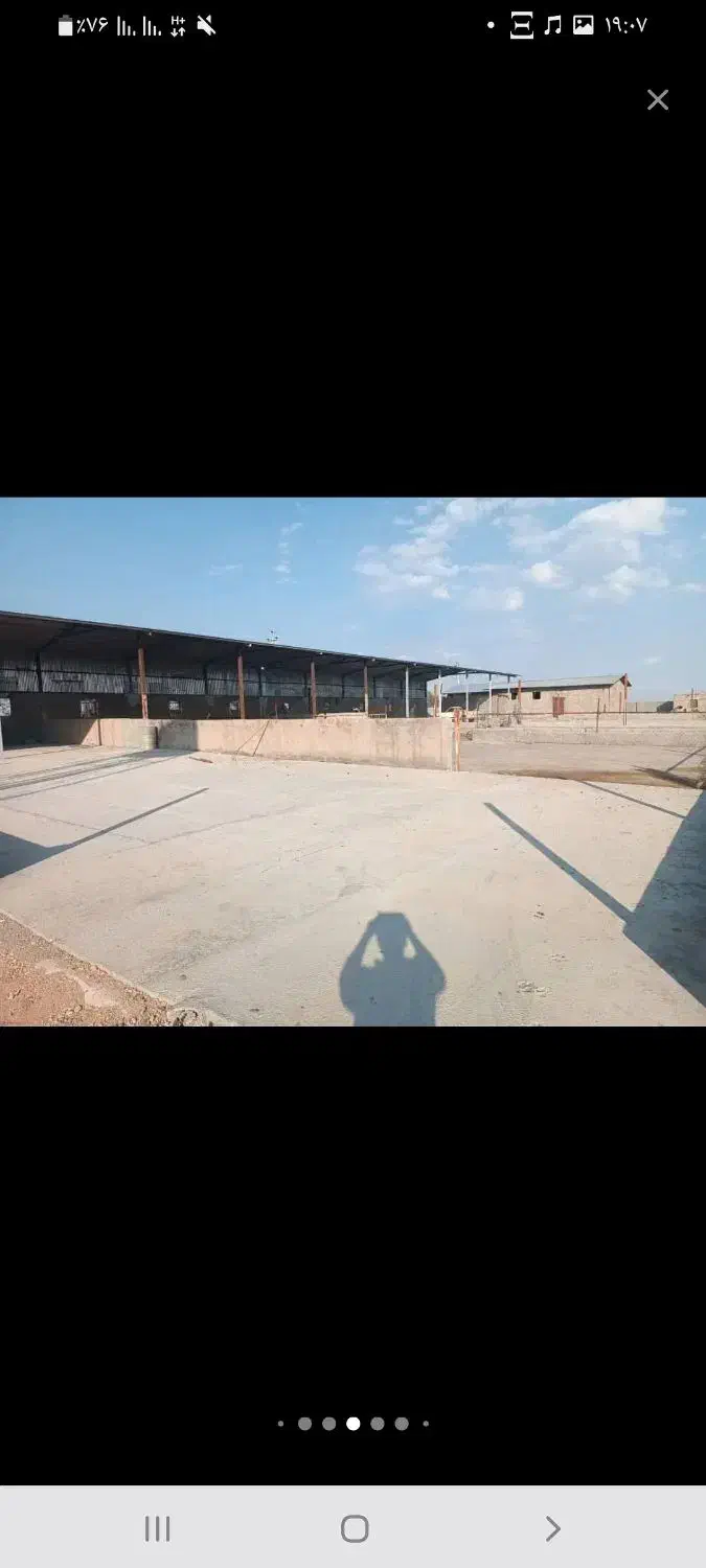 فروش گاوداری مجهز (قابل تهاتر)|فروش دفتر صنعتی، کشاورزی، تجاری|جوادآباد, |دیوار