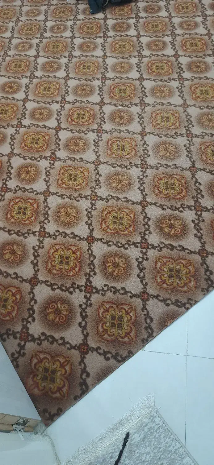 موکت ۳در۴|موکت|نیشابور, میدون بار|دیوار