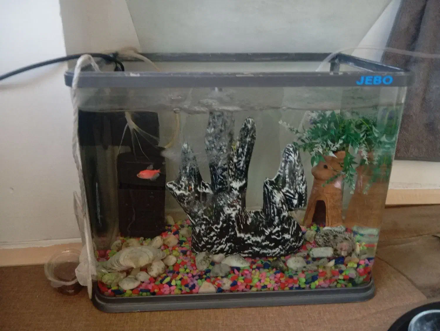 آکواریوم فروشی|ماهی|مرند, |دیوار