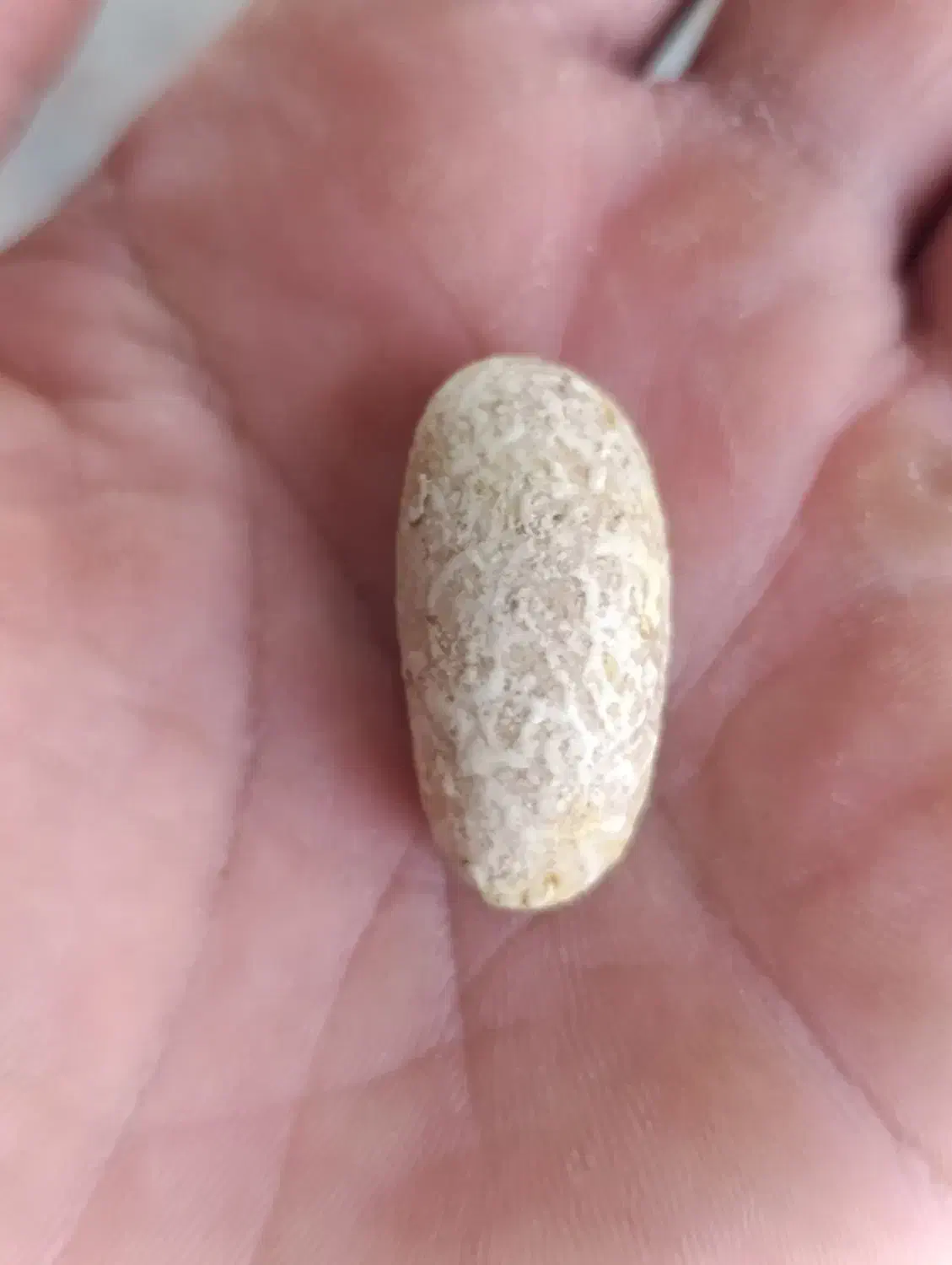 سنگ &مهره|کلکسیون اشیاء عتیقه|فاضل آباد, |دیوار